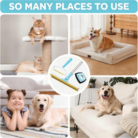 Kit de 3 en 1 en acier inoxydable pour enlever les poils d'animaux sur les tapis, avec brosse grattoir à long manche réglable et réutilisable pour chiens et chats