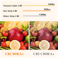 Tira de Luz LED COB CCT de 5m/10m en Rollo, Alta Densidad 512, 600, 608, 640 LED, Control Inteligente por Aplicación y Control Remoto, PCB de Cobre de 5mm/8mm/10mm