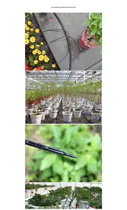 Système <span class=keywords><strong>d</strong></span>'arrosage automatique <span class=keywords><strong>de</strong></span> précision pour plantes succulentes <span class=keywords><strong>de</strong></span> <span class=keywords><strong>balcon</strong></span> F92, ensemble <span class=keywords><strong>de</strong></span> 3/5 fléchettes <span class=keywords><strong>goutte</strong></span>-à-<span class=keywords><strong>goutte</strong></span> capillaires, série PVC Giclee - Product Image 6