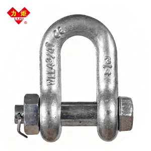 Manilles forgées à la chute, type arceau et type D, en acier inoxydable galvanisé - Product Image 1