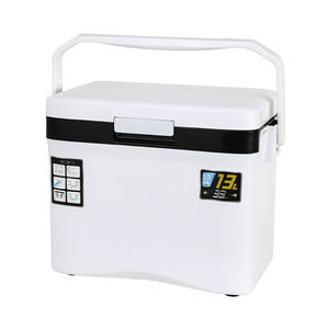 202113W High Quality Plastic Outdoor Picnic Camping Bbq 13L Portable Medical Cold Chain Vaccine Cooler Box Fish