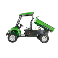 Véhicule utilitaire Quad 10KW électrique UTV adulte 4x4