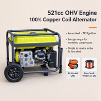 Générateur 230V 50Hz 10000W pour propriétés rurales et sites commerciaux, moteur 521cc, AVR, roues de 8 pouces, démarrage électrique à manivelle