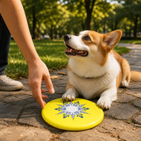 Disque volant pour chien en TPU jaune fluorescent, 220/230/240 mm, jouet interactif pour chien