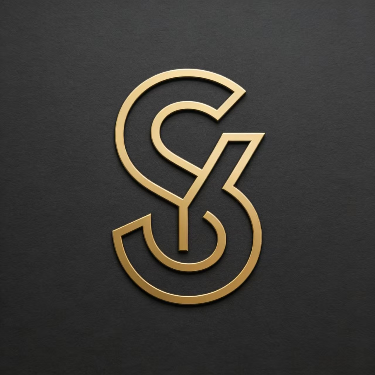 Shishi Xunze Yangyi Trading & Import-Export Co., Ltd. logo