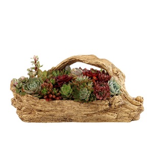 Hot Bán Nhân Tạo Gỗ Lùn Trồng Điêu Khắc Nhựa Mọng Nước Trồng Mộc Mạc Xương Rồng <span class=keywords><strong>Container</strong></span> Chậu Hoa Cho Sân Vườn - Product Image 3