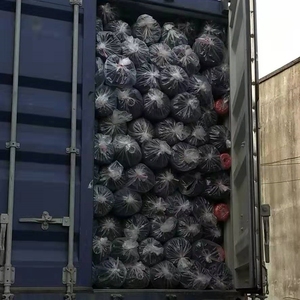 Rollo neto de sombra para invernadero agrícola HDPE nuevo 100% de alta calidad al por mayor - Product Image 6