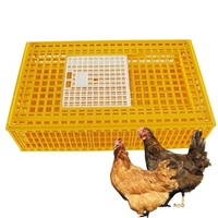 Offre Spéciale Carré Épais Canard Lapin Volaille Cage Transport En Plastique Empilable Poulet Retournement Boîte Caisse