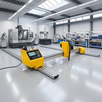 Découpeuse plasma CNC portative industrielle à portique, haute précision, à économie d'énergie, pour l'usine de traitement des métaux