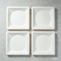 Assiette jetable carrée en bagasse de canne à sucre écologique, résistante, pour plats à emporter, pour restaurant