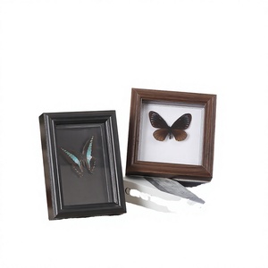 Wholesale Durable Lightweight 3D Wood Letterpress Printed Photo <b>Frame</b> 2cm Hollow Design | DIY Hollow <b>Square</b> Insect Butterfly - Product Image 3
