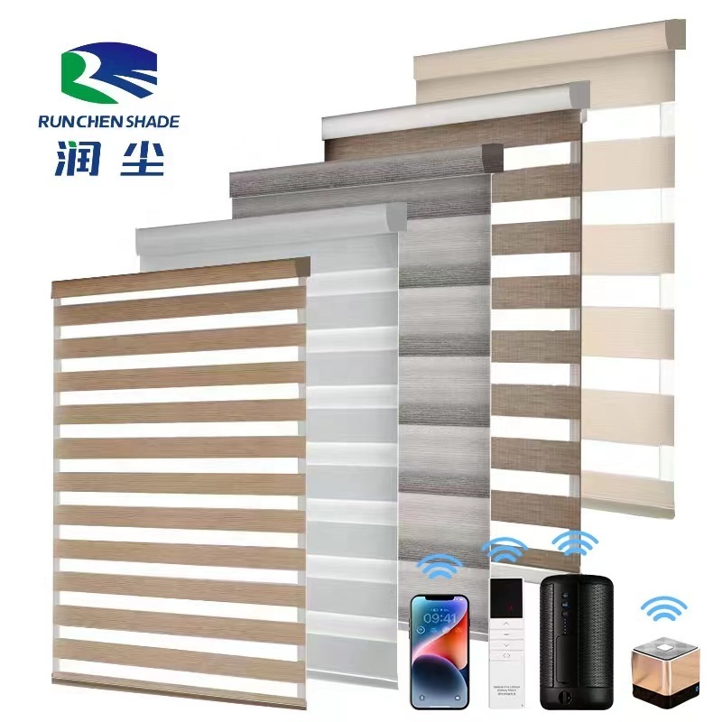 Zebra Roller Blinds Shades Double Layers