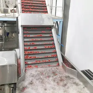 Domates suyu üretim makinesi ticaret domates sıkacağı makinesi domates sosu işleme makinesi