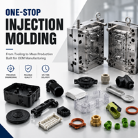 Pièces moulées par injection plastique personnalisées OEM, PE, PP, PS, TPE, TPU, HDPE, PTFE, PMMA, Nylon, ABS, LSR, service de moulage par injection