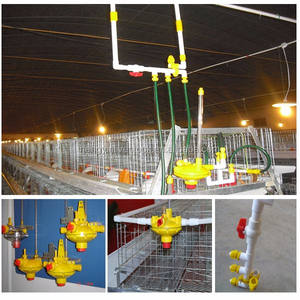 Nuovo un tipo più popolare gabbia di batteria zincata A caldo per strati in Nigeria - Product Image 5