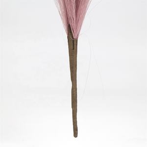 <span class=keywords><strong>Tige</strong></span> de pampas <span class=keywords><strong>artificielle</strong></span> rose Sunwing pour la décoration intérieure, roseau artificiel moelleux pour Noël, fête des mères, nouvel an, fête des pères - Product Image 6