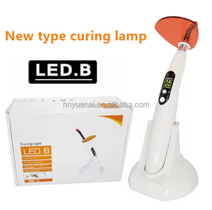 Produit le plus vendu Kit de gemmes médicales 2024 avec lumière de polymérisation et <span class=keywords><strong>colle</strong></span> - Product Image 4