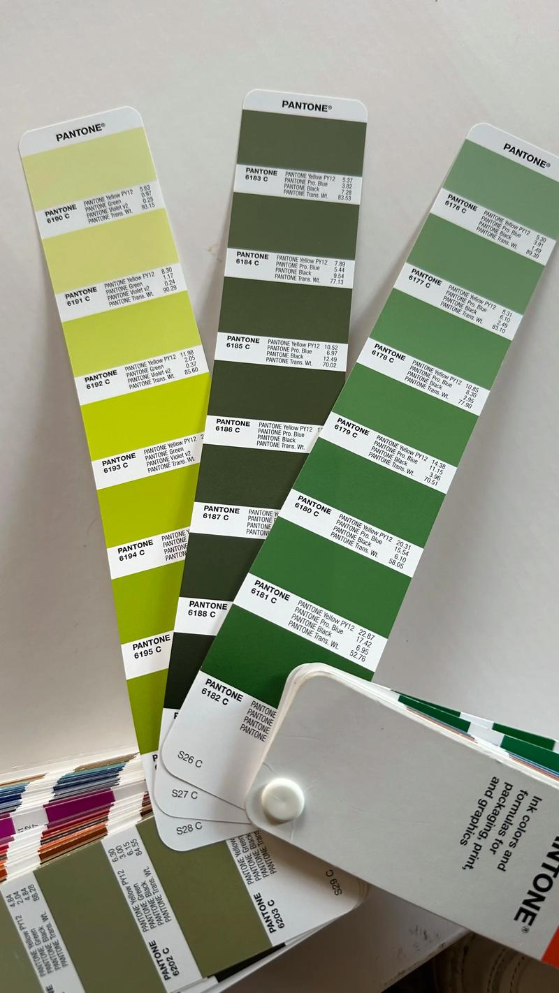 สีที่กำหนดเอง