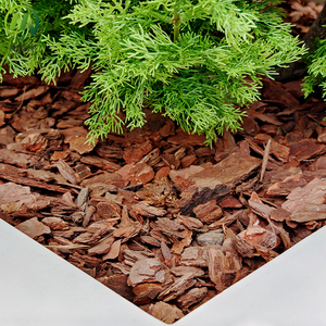 Lớn thường xanh nhân tạo cây thông cây cao sợi thủy tinh giả cây cho trang trí ngoài trời trong nhà hàng và khách sạn - Product Image 3