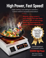 Cuisinière à induction portable à brûleur unique en acier inoxydable 3500W à chauffage rapide avec fonction Hotpot pour usage domestique, commercial et hôtelier
