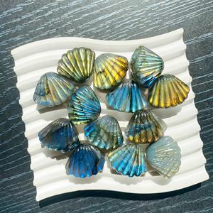 Vente en gros de coquillages en labradorite naturelle sculptés, décoration élégante, adaptée à la décoration intérieure, à la décoration de fête ou comme cadeau pour les anniversaires - Product Image 5