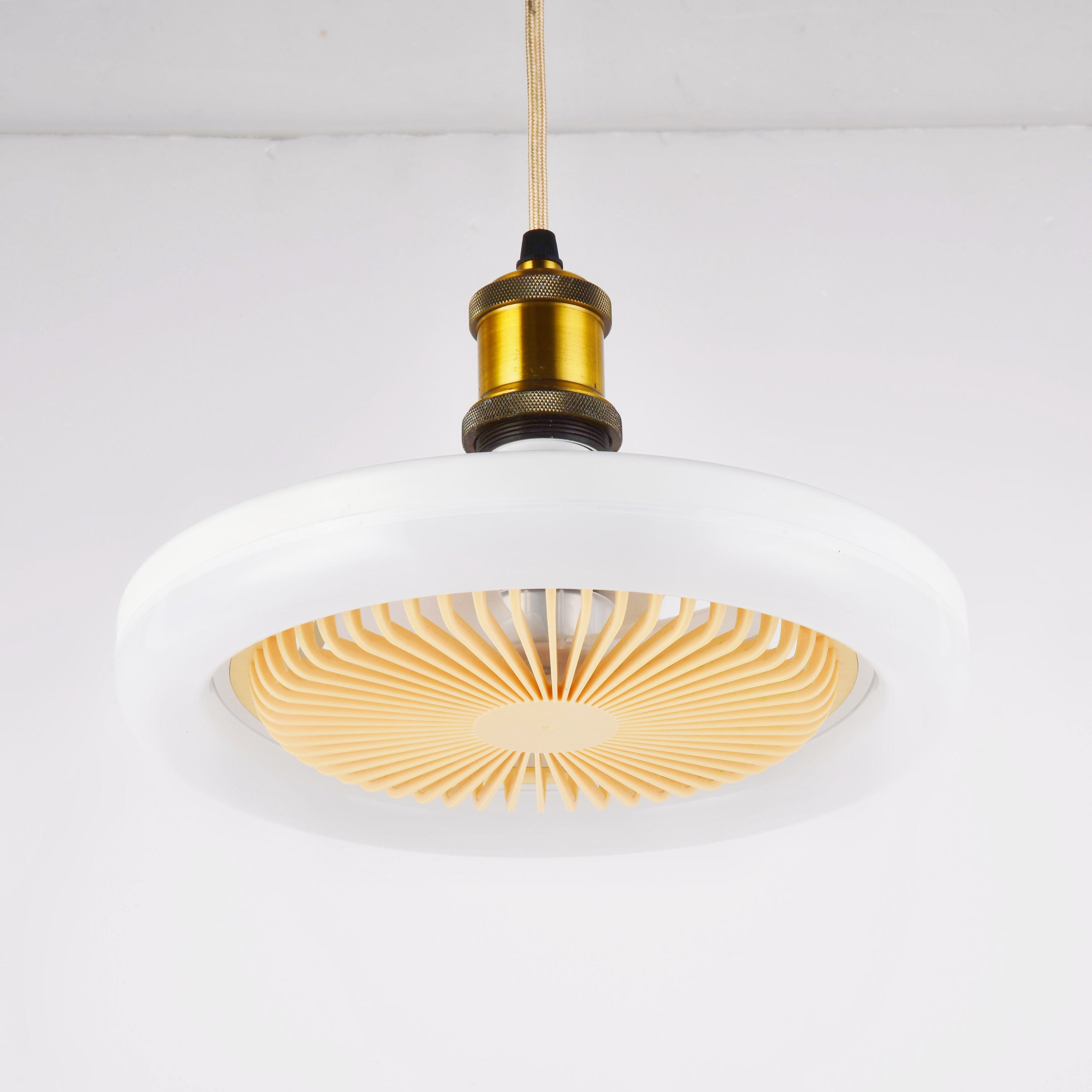 10inch Small Ceiling Fans with Lamps Three Speed Adjustable Indoor Ceiling Fan 30W 3 Color Changing Mini Ceiling Fan