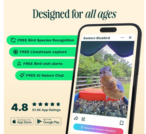 Caméra de mangeoire à <span class=keywords><strong>oiseaux</strong></span> intelligente 2026, style tendance, identification des espèces d'<span class=keywords><strong>oiseaux</strong></span> par IA, photo 5MP, vidéo 2K HD, diffusion en direct, vidéo au ralenti - Product Image 2