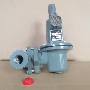 Reguladores de Presión DN20/DN25 Suministrados por el Fabricante, Válvulas Reductoras de Presión de Gas para Gas Natural y Gas Licuado de Petróleo - Product Image 2