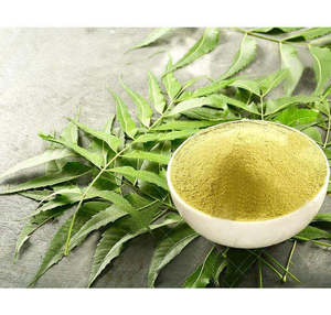 Polvo de Hoja de Neem a Granel, 100% Natural, Grado Alimenticio, Ingrediente Herbal, Polvo de Neem Molido Fino para Exportación y Pedidos al por Mayor - Product Image 5