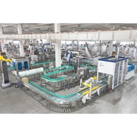 Ligne de remplissage de boissons végétales biologiques LWT, emballage en verre, technologie PLC, faible teneur en sodium, sans additifs, pour des boissons écologiques