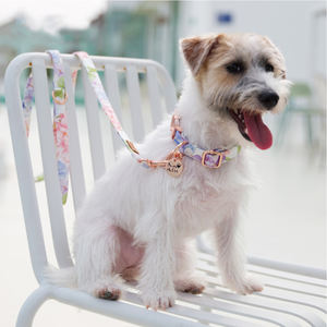 <span class=keywords><strong>Collar</strong></span> y correa de cuero con estampado de flores, hebilla de Metal de lujo, para perro - Product Image 4