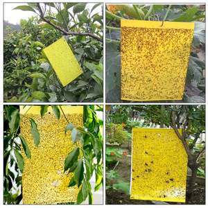 Fruits Pièges À Mouches (Paquet De 20), Jaune Collant Pièges À Mouches pour les Plantes D'intérieur Insectes - Product Image 6