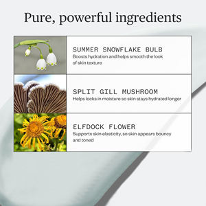 Muestras gratis de crema de noche, seta hidratante de larga duración, aumenta la firmeza, líneas finas, máscara de colágeno para dormir - Product Image 3