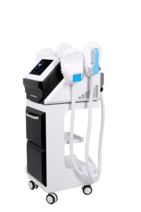 Máy Làm Đẹp 7 Cán Tesla 4 Cơ Bắp Đẹp 5000W Prosculpt Chất Lượng Cao - Product Image 4