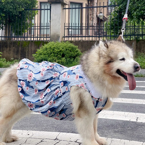 Robe chemise pour animaux de compagnie, printemps/été, forêt profonde, pour chats, ours en peluche, golden retrievers, malamutes d'Alaska, samoyèdes, huskies - Product Image 1