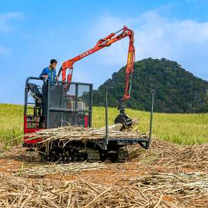 Transportador de Troncos Inteligente y Eficiente Energéticamente Xuvol, Transportador de Caña de Azúcar/Madera, Transporta 100 Toneladas de Caña de Azúcar en un Día - Product Image 4