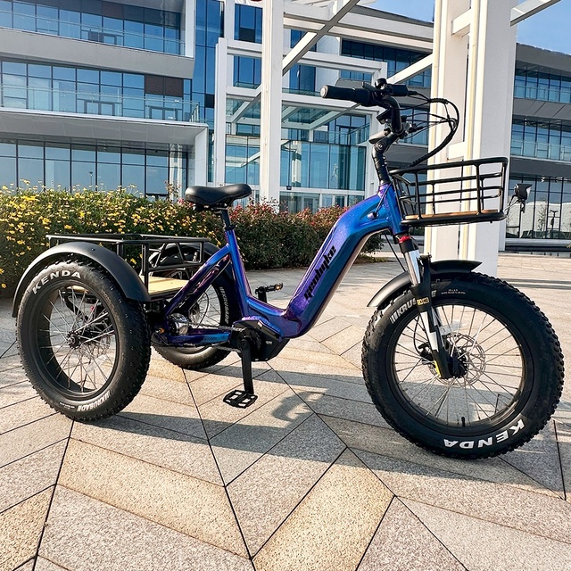 New Arrival 48V 250W 500W Mid Drive Motor Electric Bicycle Central Motor with Lithium Battery Power Supply for Food Delivery
