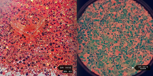 Polvere Acrilica Luminosa Fosforescente per Unghie, Resistente ai Solventi, Decorazioni Natalizie - Product Image 2