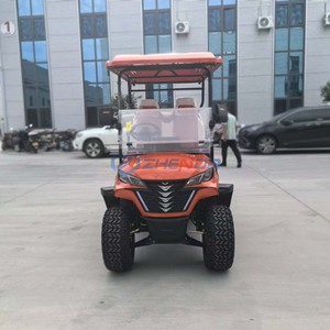 Carritos de golf eléctricos de 1+1 plazas, directo de fábrica, se venden a precios bajos. Transporte especial / Vehículo eléctrico / Golf eléctrico - Product Image 4