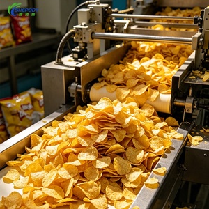 Macchina Automatica su Larga Scala per la Produzione di <span class=keywords><strong>Patatine</strong></span> <span class=keywords><strong>Fritte</strong></span> e Chips di Patate Shepody, 1000kg/h - Product Image 6