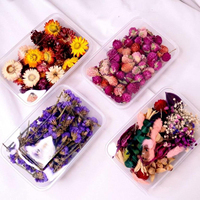 Mini Matériaux DIY pour Fleurs Séchées, Matériaux de Remplissage pour Colle DIY, Mini Matériaux Exportés du Yunnan pour la Fabrication de Savons et les Fournitures d'Artisanat de Bougies
