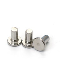 SDPSI DCT vend directement des rivets à tête plate haute, micro rivet