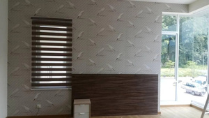 Elegante Persiana Zebra EX07, Cortina de Doble Capa para Comedor, Decoración del Hogar con Luz Suave - Product Image 5