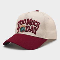Casquette de baseball structurée à 5 panneaux bicolore avec logo brodé 3D en relief, style Western Trucker, 100 % coton