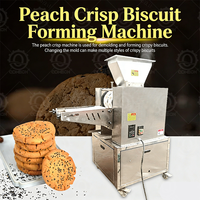 Machine automatique à grande vitesse HN QDMECH pour la formation de biscuits croustillants à la pêche, équipement de fabrication de biscuits, ligne de production de biscuits croustillants à la pêche