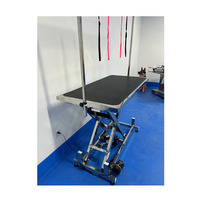 Table d'opération électrique pliable professionnelle en acier inoxydable écologique pour vétérinaires avec recharge USB – Offre Spéciale