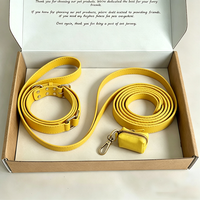 Collier d'entraînement pour chiens de taille moyenne et grande avec boucle en métal, logo et couleur personnalisés, collier tactique pour chien et laisse assortie