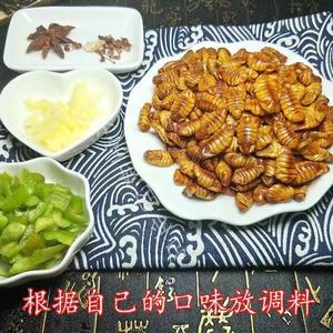 Pupas de gusano de seda vivas recién congeladas sin aditivos: un producto congelado especial hecho de gusanos de seda - Product Image 5