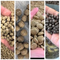 Machine à granulés aquatiques flottants et coulants pour ligne de production d'aliments pour animaux de compagnie (chiens, chats) et ligne complète de fabrication de granulés pour poissons