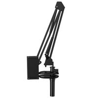 Support de col de cygne pliable à bras Long pour tablette iPad, support paresseux